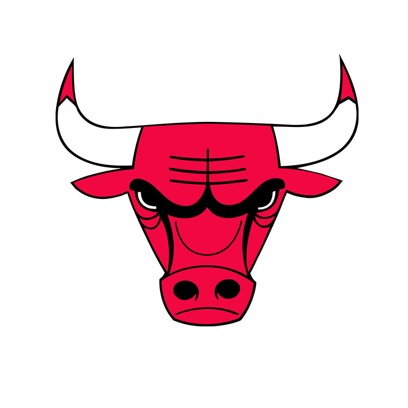 CHICAGO BULLS
