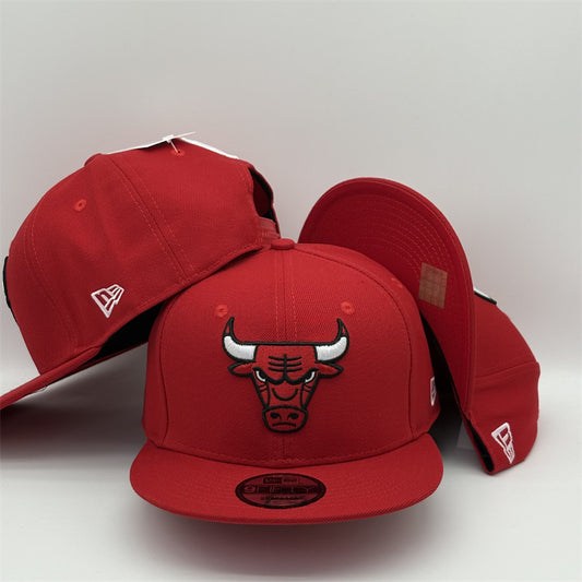 Chicago Bulls JC9FIF-138