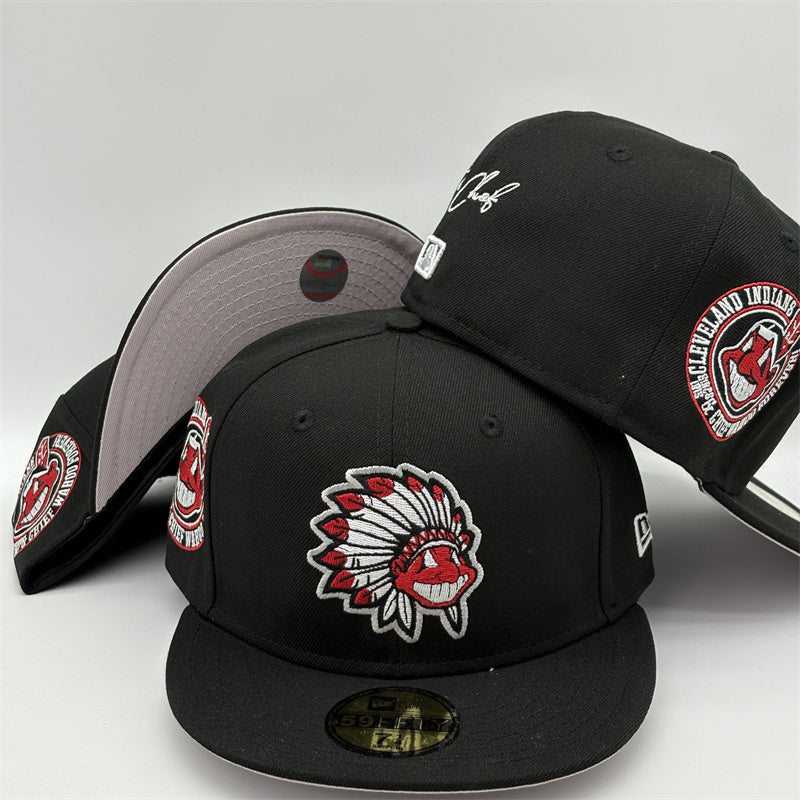 Guardians Cleveland 59-309